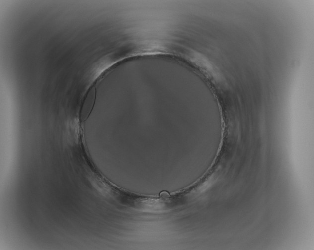 X0000112471457200909141109