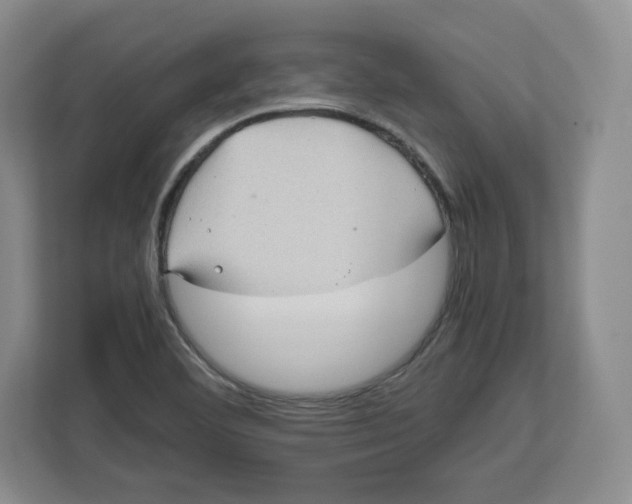 X0000112471460200909141109