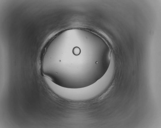 X0000112471461200909141109