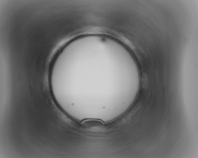 X0000112471464200909141108