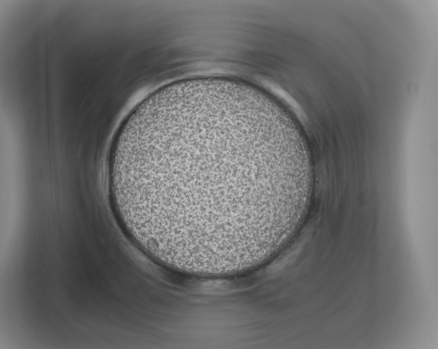 X0000112471467200909141108