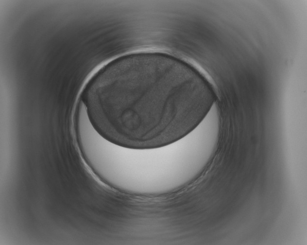 X0000112471468200909141108