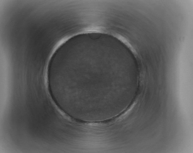 X0000112471469200909141108