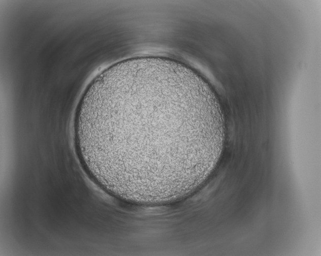 X0000112471471200909141108