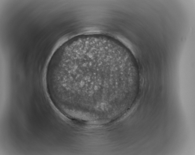 X0000112471475200909141108