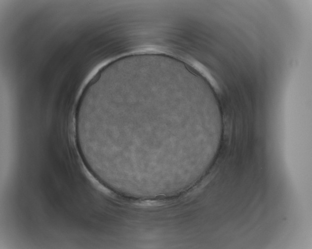 X0000112471476200909141108