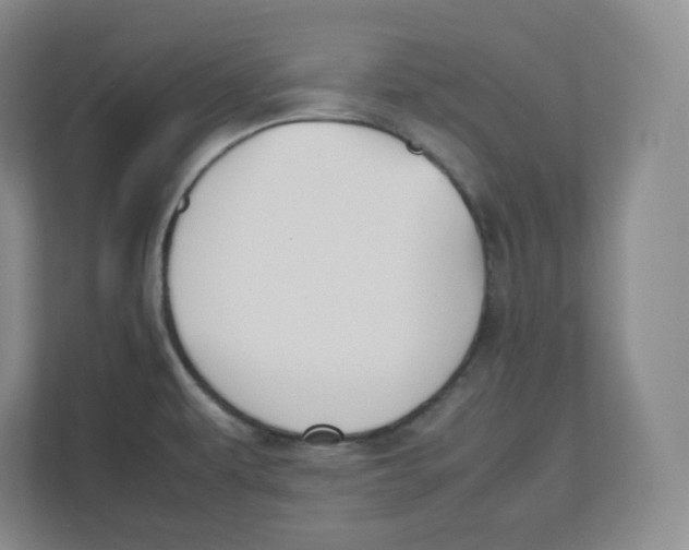 X0000112471479200909141108