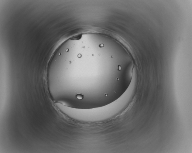 X0000112471481200909141108