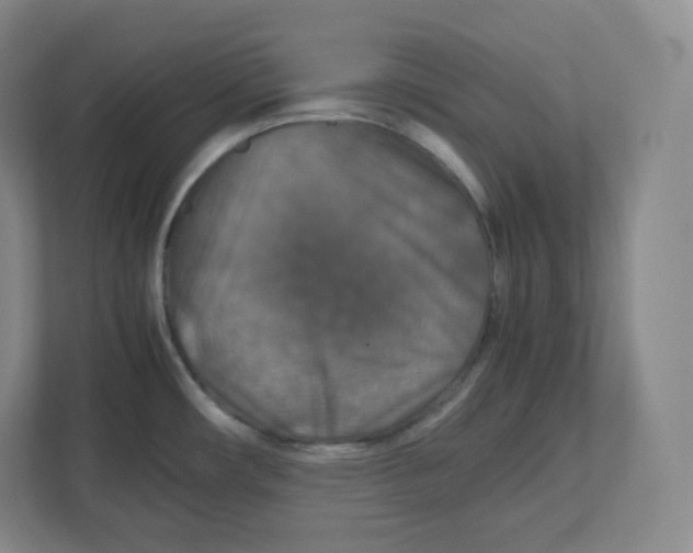 X0000112471482200909141108