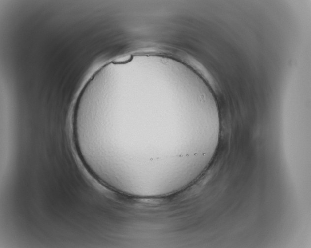 X0000112471483200909141108