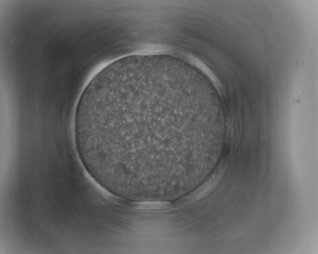 X0000112471487200909141108