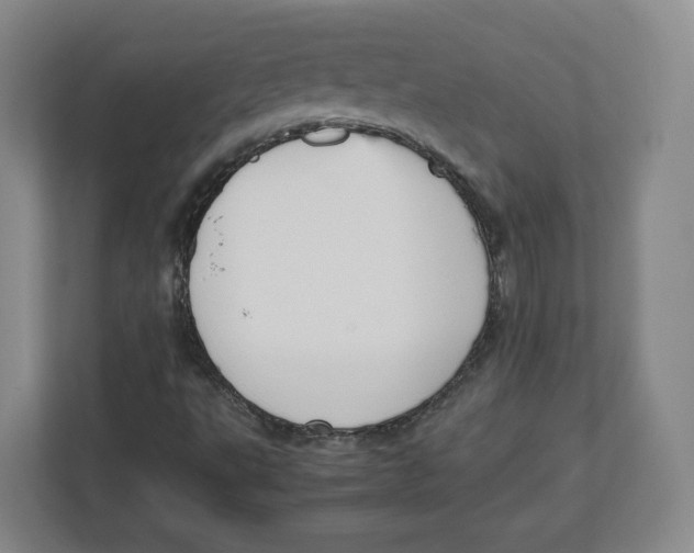 X0000112471495200909141108