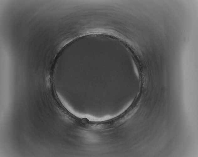 X0000112471497200909141108