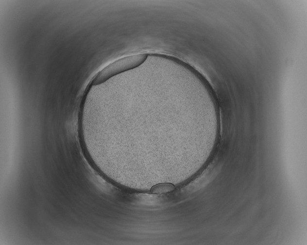 X0000112471500200909141108