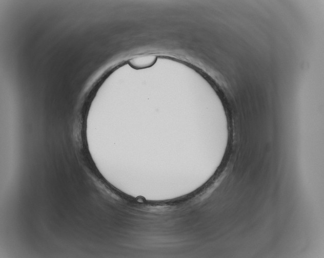 X0000112471502200909141108