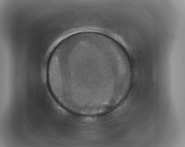 X0000112471504200909141108