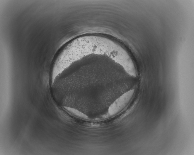 X0000112471505200909141108