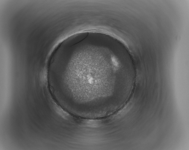 X0000112471506200909141108