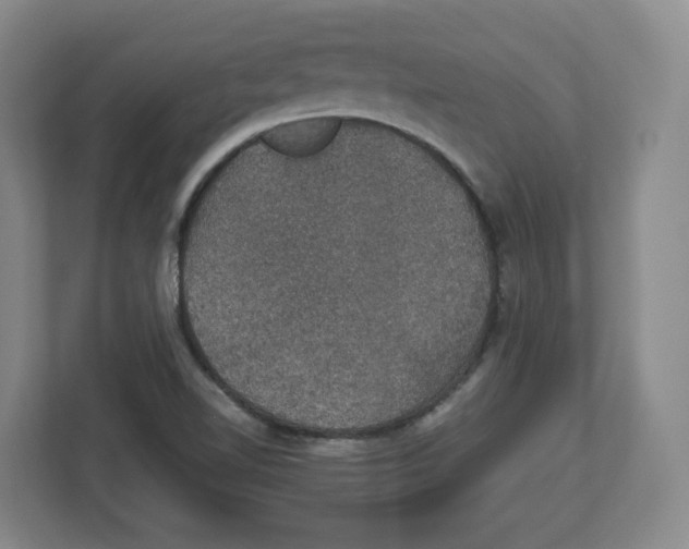 X0000112471510200909141108