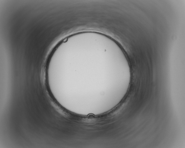 X0000112471511200909141108