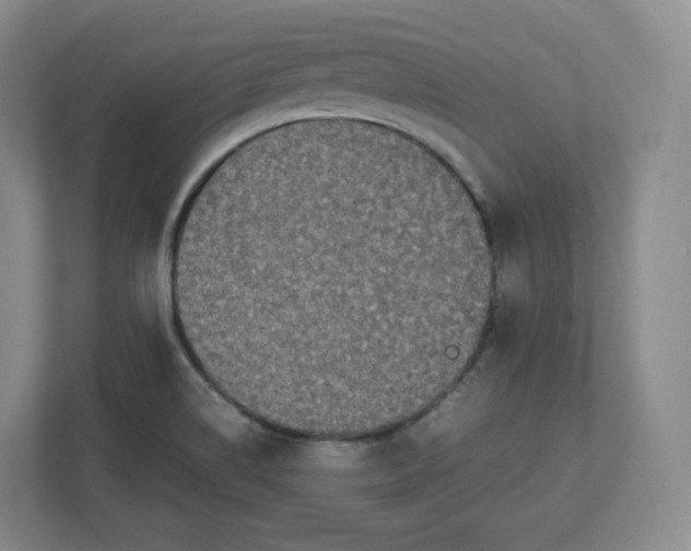 X0000112471514200909141108