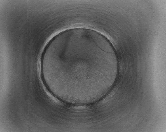 X0000112471515200909141108