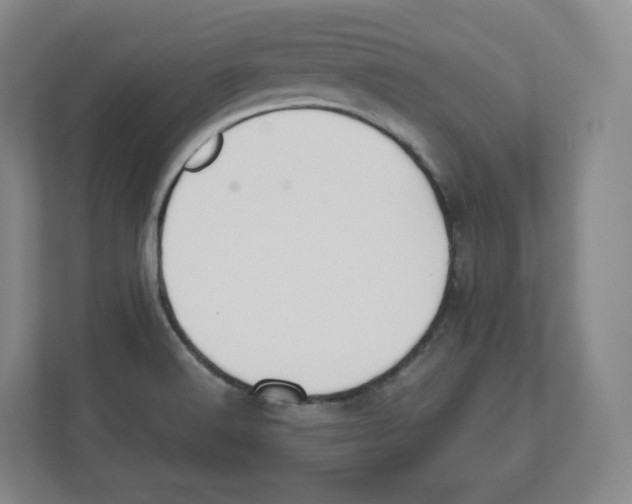 X0000112471516200909141108