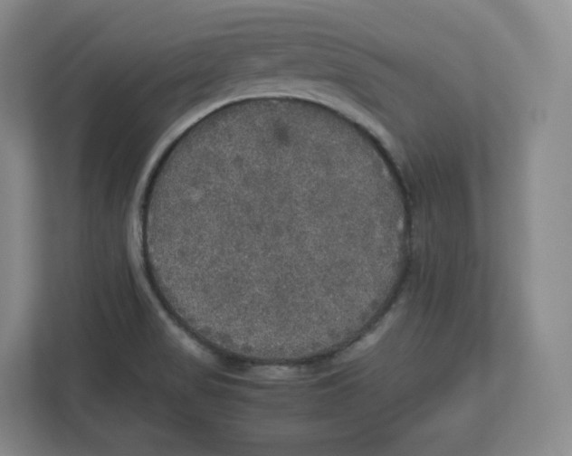 X0000112471517200909141108