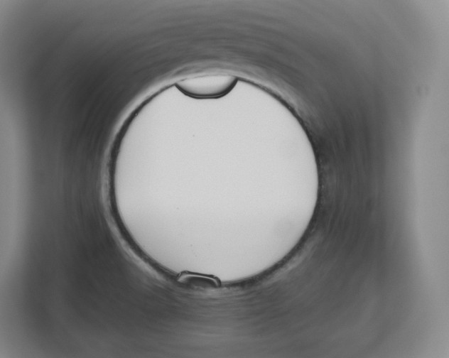 X0000112471518200909141108