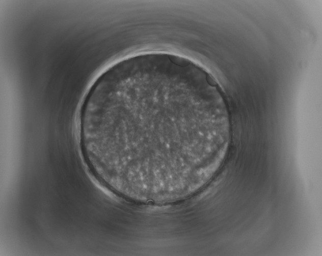 X0000112471519200909141108