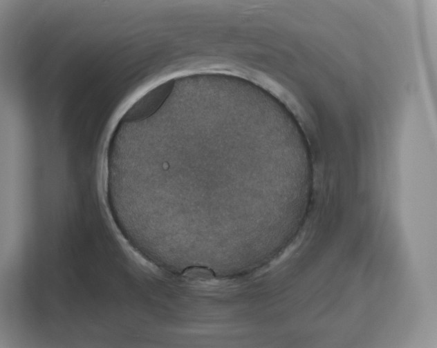 X0000112471520200909141108