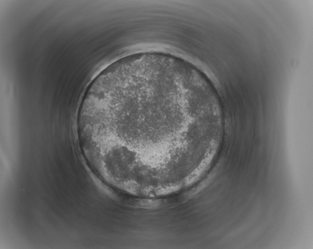 X0000112471521200909141108