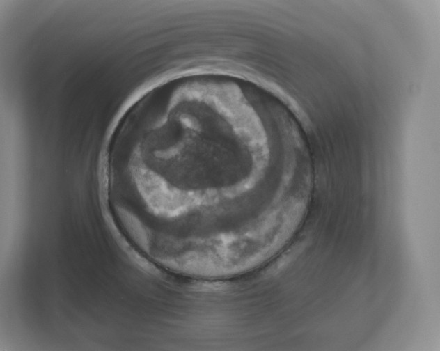 X0000112471522200909141108