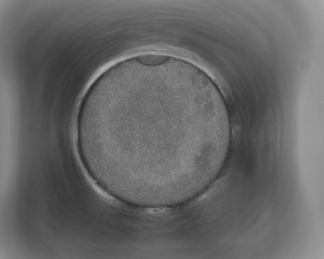 X0000112471523200909141108