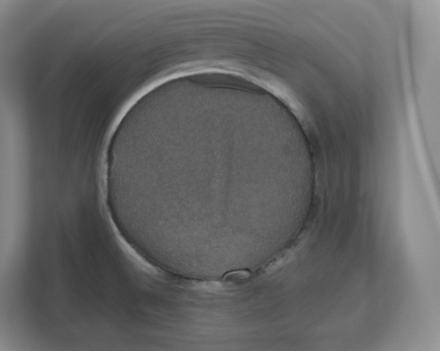 X0000112471524200909141108