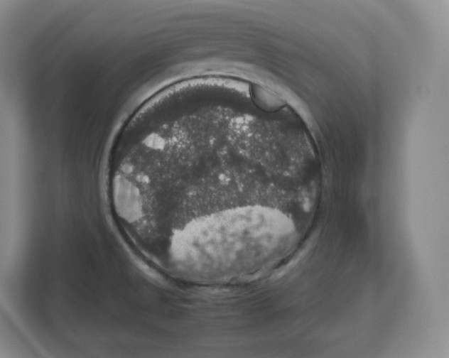 X0000112471525200909141108