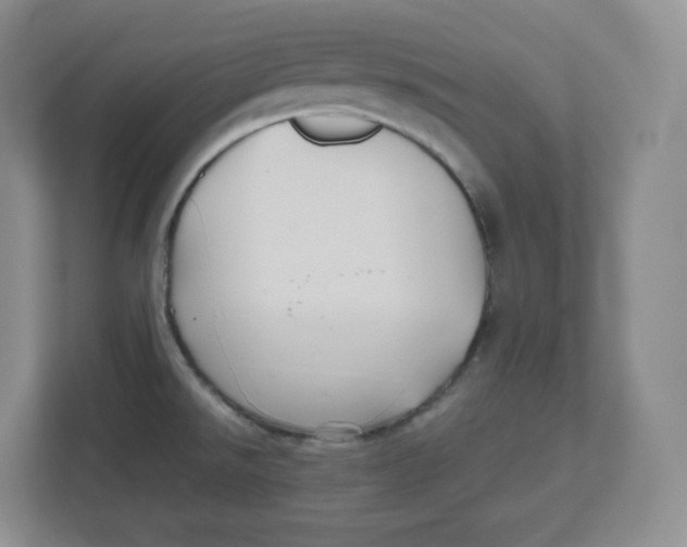 X0000112471526200909141108