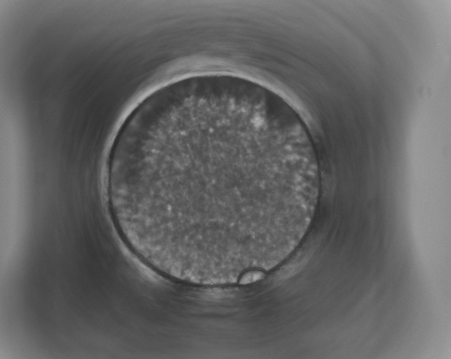 X0000112471527200909141108