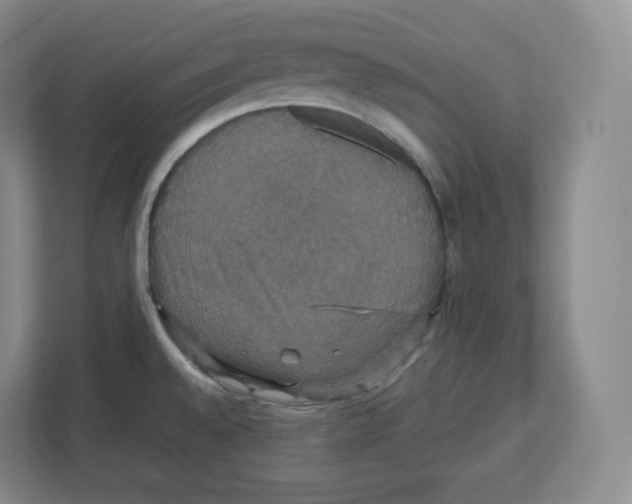 X0000112471528200909141108