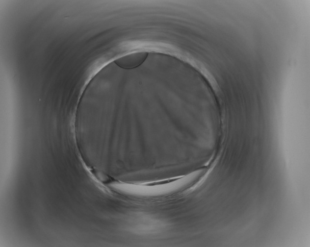 X0000112471529200909141108