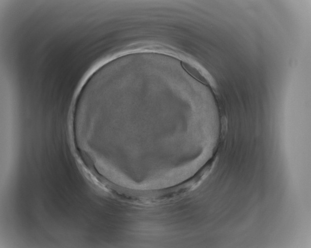 X0000112471530200909141108