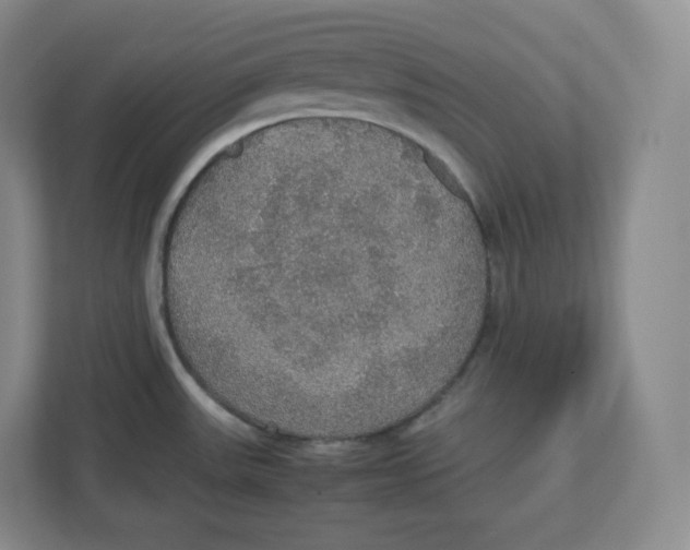 X0000112471531200909141108