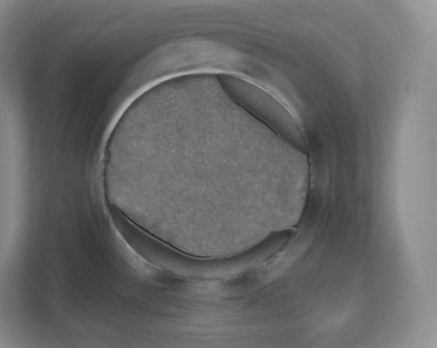 X0000112471532200909141108