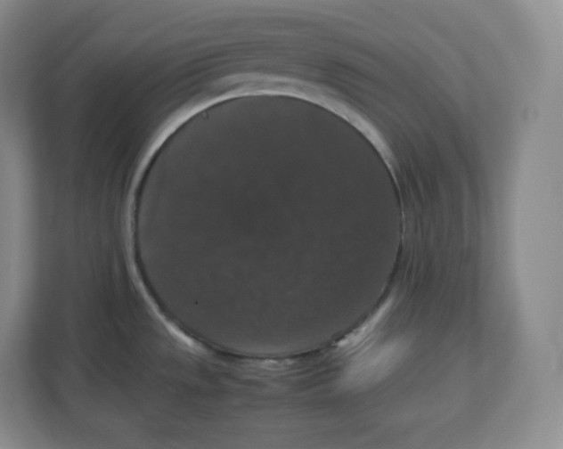 X0000112471533200909141108