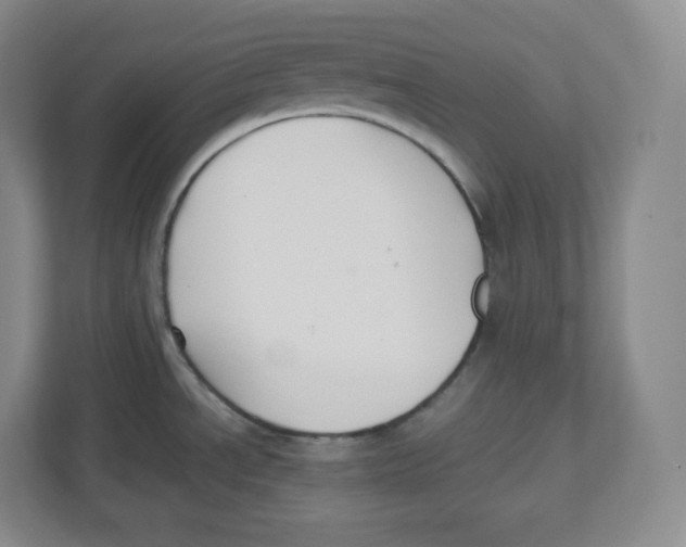 X0000112471534200909141108