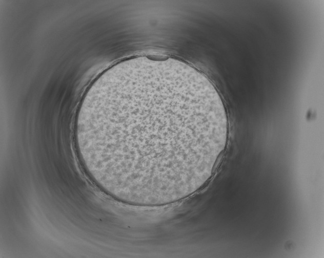 X0000112470001200909281057