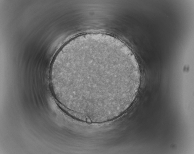 X0000112470002200909281057