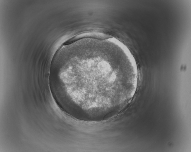 X0000112470003200909281057