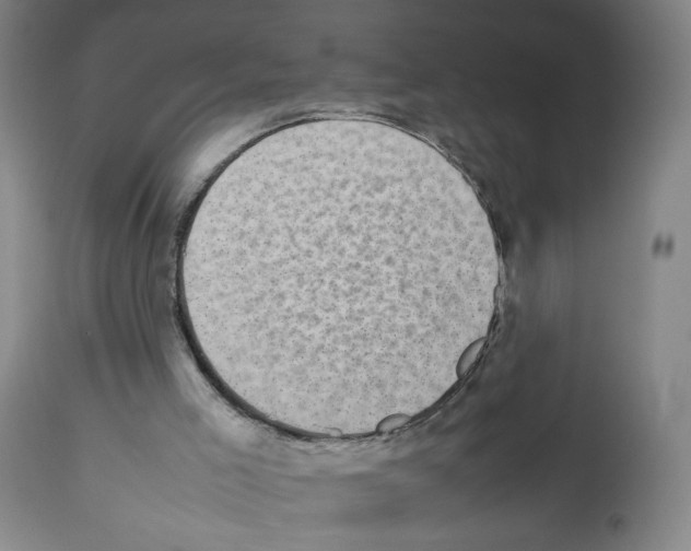 X0000112470005200909281057