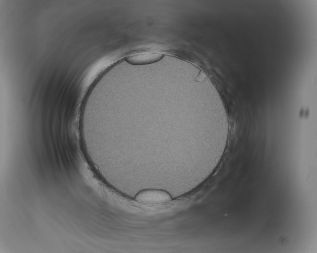 X0000112470006200909281057
